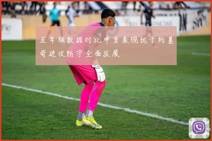 五年级数据对比申京表现优于约基奇进攻防守全面发展