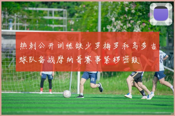 热刺公开训练缺少罗梅罗和乌多吉球队备战摩纳哥赛事紧锣密鼓