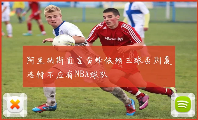 阿里纳斯直言黄蜂依赖三球否则夏洛特不应有NBA球队