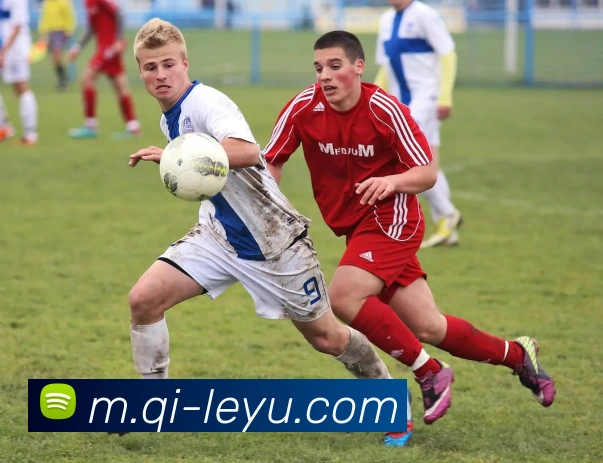 乐鱼体育APP 封面图