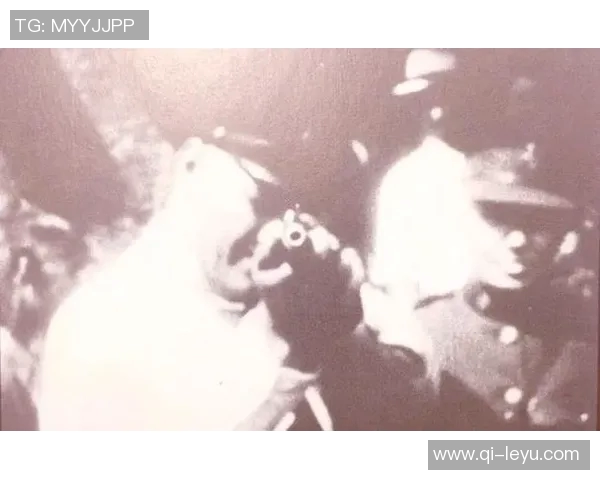 斯洛特执教五年未遭三连败的传奇之路与战术解析